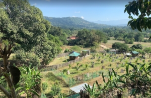 Valley View Farm, Only 5-minutes to Coastal Road, Bacnotan, La Union